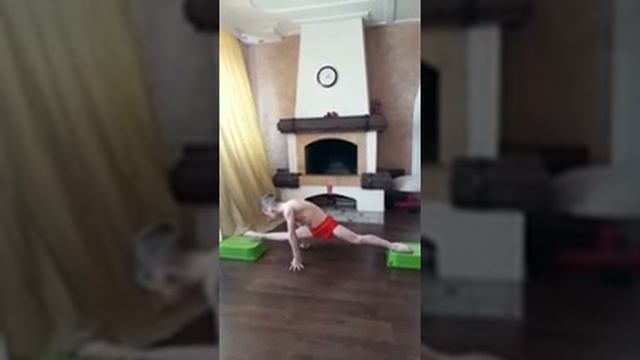 «Спортивная гимнастика»-НП-Комплекс базовых упражнений по СФП смотреть онлайн