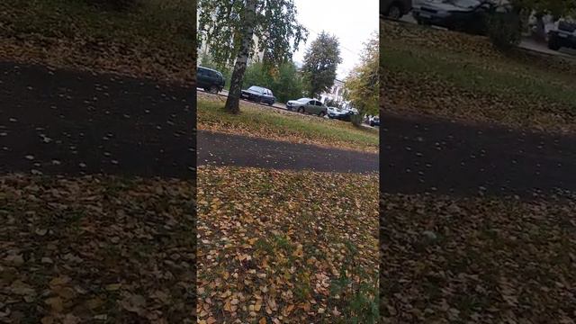 как забрала на древо? смотреть онлайн
