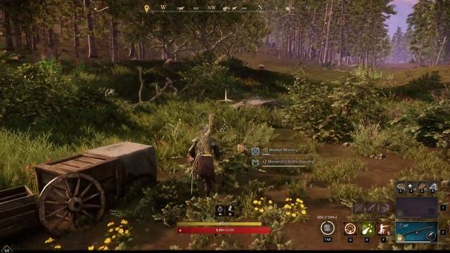 New World - 1.5k RawHide every 6 min + a visual bug смотреть онлайн