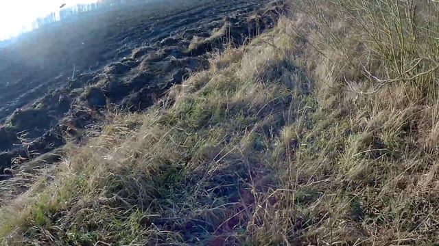 2 охотника + 1 ягдтерьер = 3 зайца. Охота на зайца по чернотропу с собакой смотреть онлайн