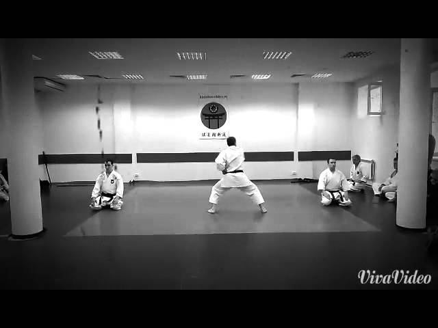 Тайкай-2015. 25 летие школы Кодокан Син-рю. НИДЗЮШИХО.