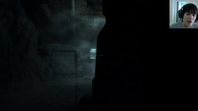 Skyrim Let's Play 211 - female Argonian w face cam смотреть онлайн