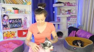 Топовые товары для собак и кошек  Безумные находки на Алиэкспресс@Magic_Family