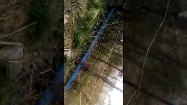 Большая Ельня. Гуляю. смотреть онлайн
