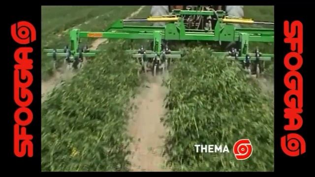 Уникальный Прополочный культиватор THEMA для кукурузы, клубники и даже хлопка