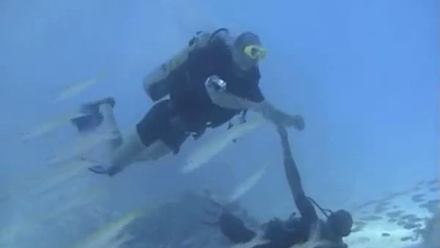 Хургада мой дайв смотреть онлайн