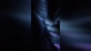 Mr.Kitty - After Dark (69 Club Music Video)