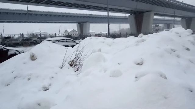 г. Москва, район Некрасовка, Проспект Защитников Москвы, д. 1, д. 3. Сугробы. Деревья. Вывоз снега. смотреть онлайн