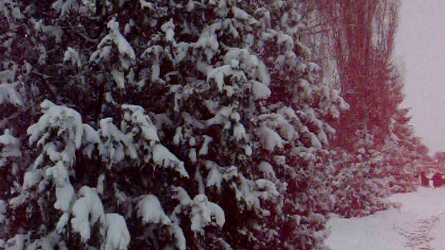 Панорама возле Крытого рынка смотреть онлайн