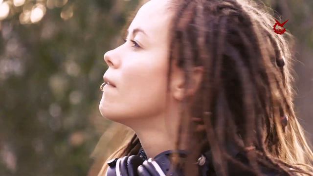 Новый стрит-арт в Северодвинске - Полярная сова смотреть онлайн