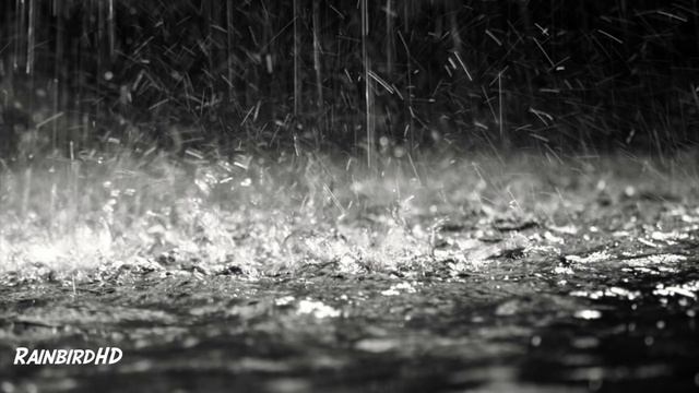 10 Hours of Thunder and Heavy Rainfall "Rain Sounds" Ambient Nature Sounds смотреть онлайн