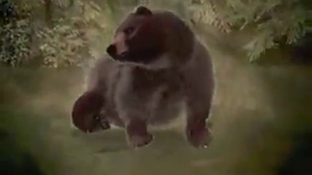 Grizzly brown bears fighting - Top 5 Animal Fights - Grizzly Bear Battle смотреть онлайн