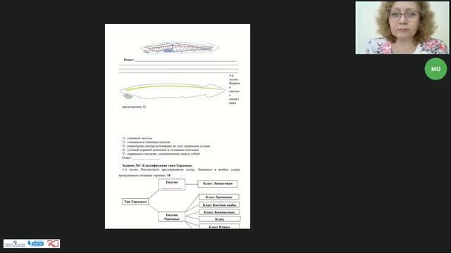 Обсудим с учителем: обучение биологии в режиме online. Особенности методики и использования УМК смотреть онлайн
