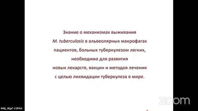 Елена Уфимцева 