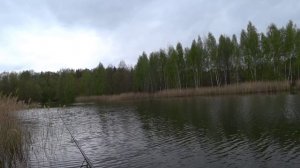 Спиннинг  Щука в мае