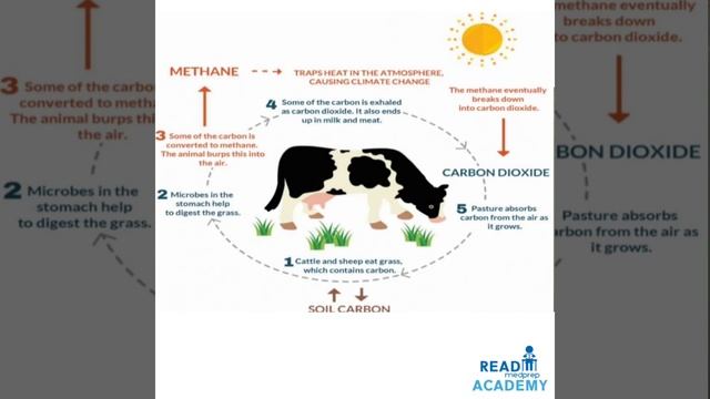#ENVIRONMENTAL ISSUES-PART-I - #INTRODUCTION - #GREEN HOUSE EFFECT-#GLOBAL WARMING -#OZONE DEPLETIO смотреть онлайн