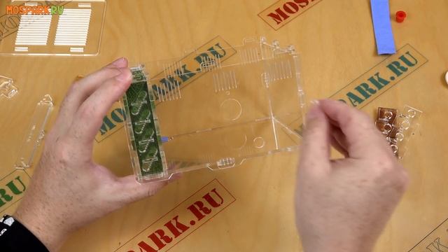 Сборка и обзор муравьиной фермы Кристалл L 3.0 от 4ants.ru смотреть онлайн