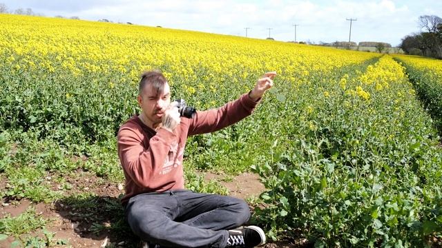 Nikon F, najlepsza lustrzanka z jakiej korzystałem [Kodak Tri-X] смотреть онлайн