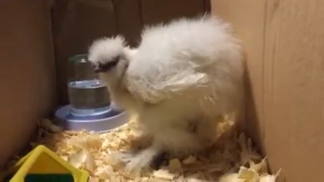 Падает на ноги смотреть онлайн