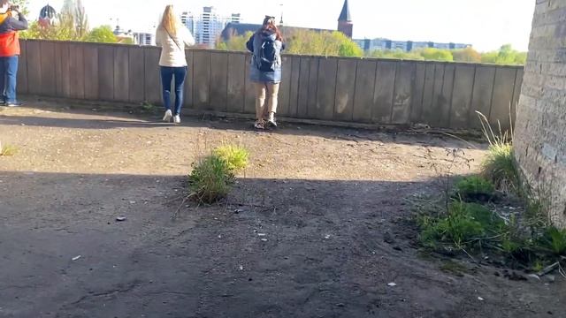 ЭКСКУРСИЯ ПО ДОМУ СОВЕТОВ / Что внутри знаменитого в Калининграде здания?