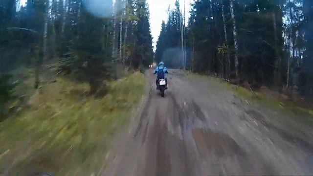 «Переплут-Трофи» Осень 2016 смотреть онлайн