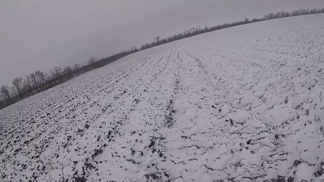 Закрытие сезона 19-20 охоты на зайца!!!!