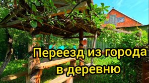 Из города в деревню. НАЧАЛО. Жизнь в деревне. Деревенский блокнот.