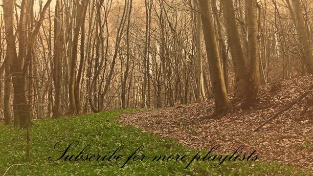 6 Pieces Enfantines, op 34, No 1 Fairy Tale by Anton Stepanovich Arensky смотреть онлайн