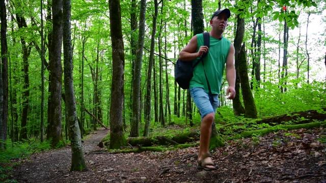 #46 Водопад Кейва смотреть онлайн