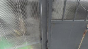 теплица-гараж