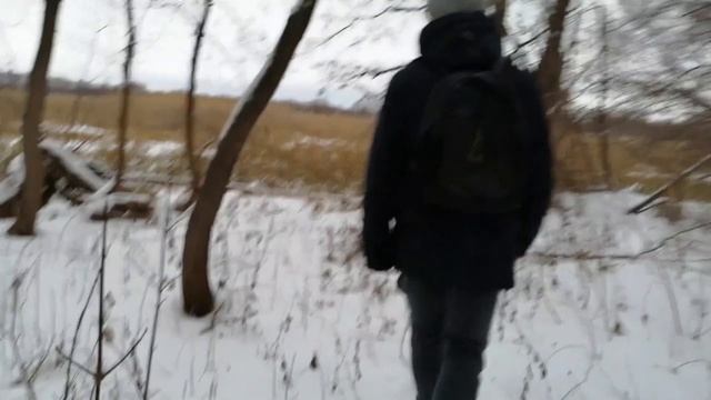 ПЕРВЫЙ ВЛОГ ИЗ ЛЕСА ★ В ПОИСКАХ КРАСИВЫХ МЕСТ ★ ДЕНЬ 5 смотреть онлайн