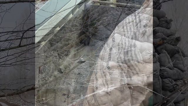 Производство древесного угля! Доставка древесного угля смотреть онлайн