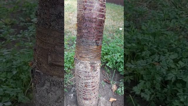 22 августа 2021 г. смотреть онлайн