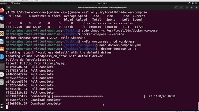 wordpress on docker смотреть онлайн