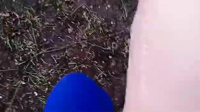 Мой хобби хорс ✨ ? в конце видео ответ почему меня так долго не было смотреть онлайн