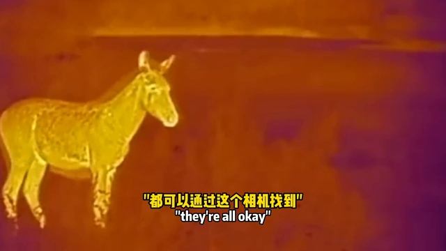 How Drone technology from Shenzhen in China is taking over the world смотреть онлайн
