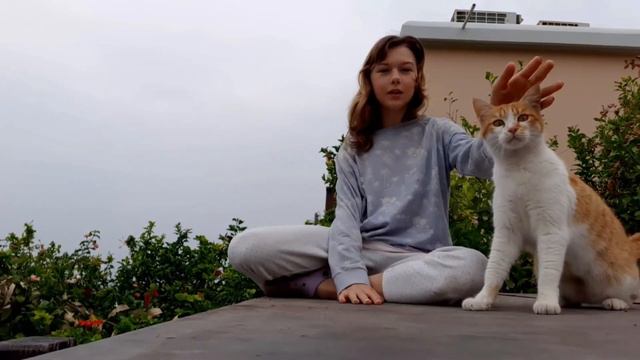 Моё УТРО // план на день смотреть онлайн
