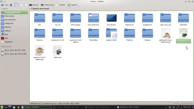 Como instalar en Linux (NetBeans + Java) (programas .sh) смотреть онлайн