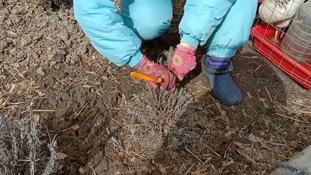 Ремонтный Чемпионат