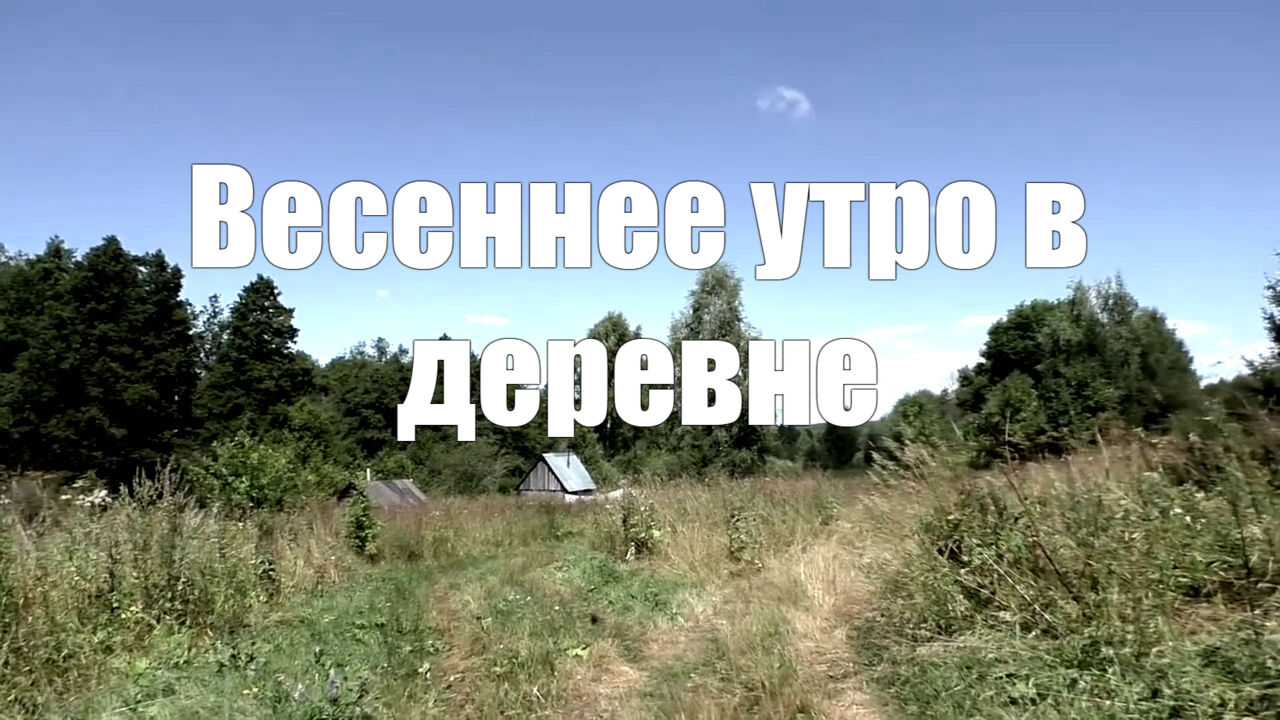 Видео 2часа Весеннее утро в деревне.Звук деревни (животные,птицы, природа)