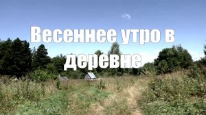 Видео 2часа Весеннее утро в деревне.Звук деревни (животные,птицы, природа)