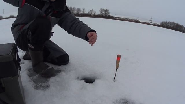 Окунь на безмотылку. Реакция рыбы на гвоздекубик. Подводная съемка смотреть онлайн