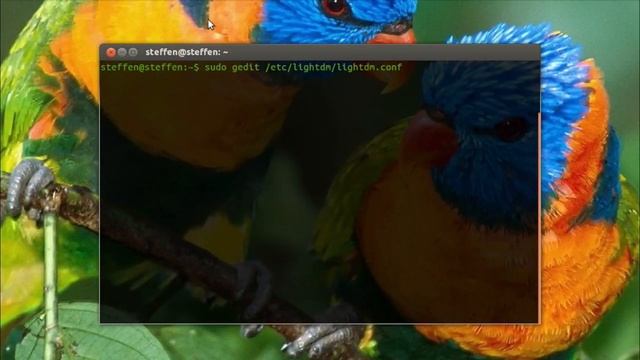 Enable Root Account - Ubuntu 13.04 смотреть онлайн