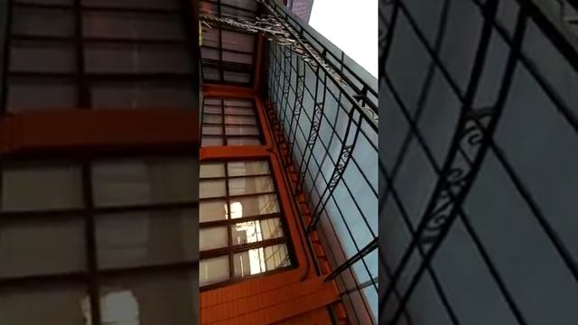 кованый навес лексан казырек ковка