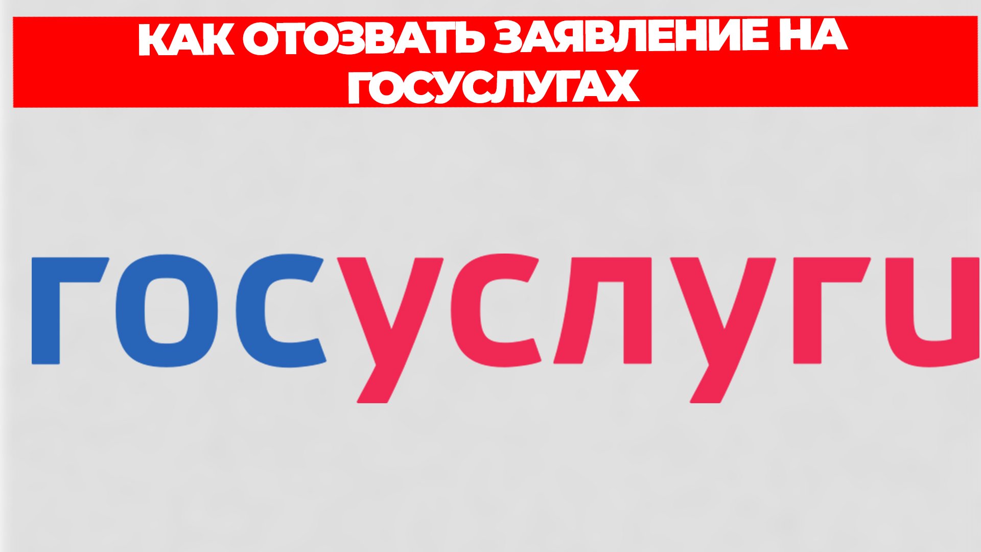 Всезнающий Енот