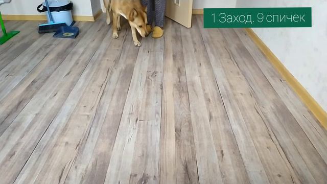 Поиск мелких предметов смотреть онлайн