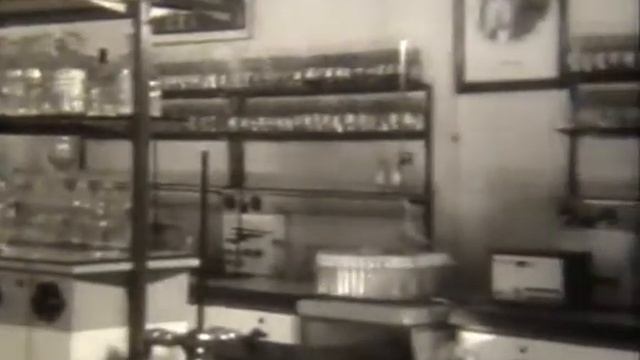 Электролиты и неэлектролиты, 1981 смотреть онлайн