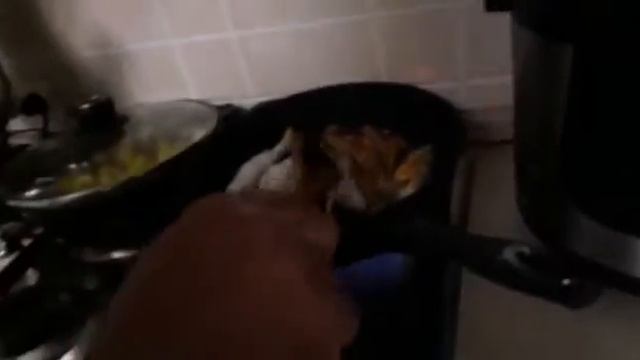 готовим диетический рыбу смотреть онлайн