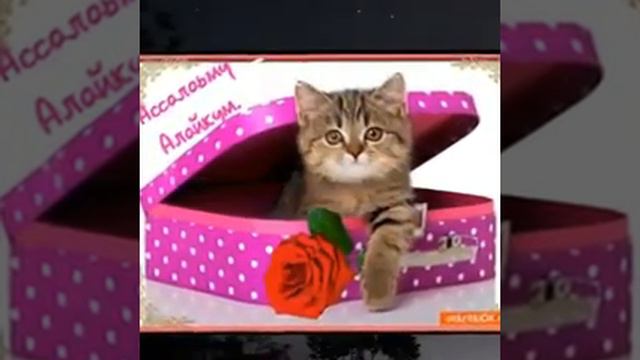 "С ПЯТНИЦЕЙ ВАС😊" смотреть онлайн