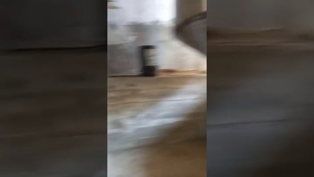 23 ноября 2023 г.